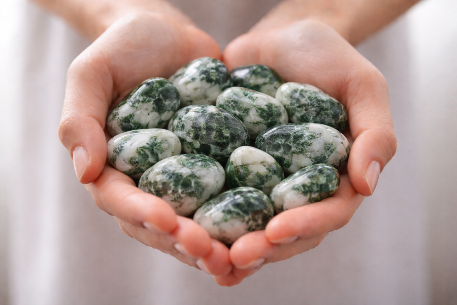 אגת עץ (Tree Agate)